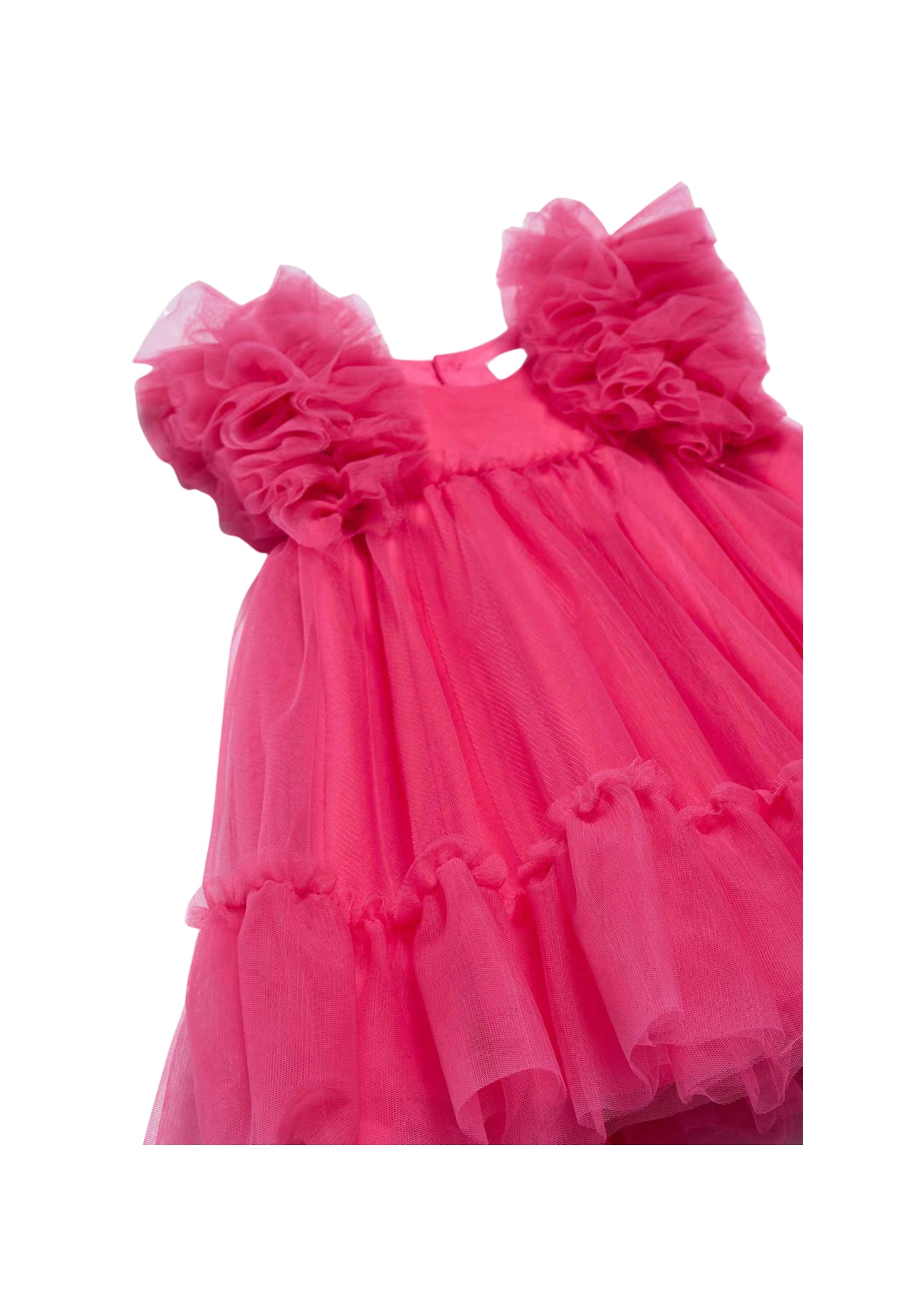 67aa1b983e0ac.jpg