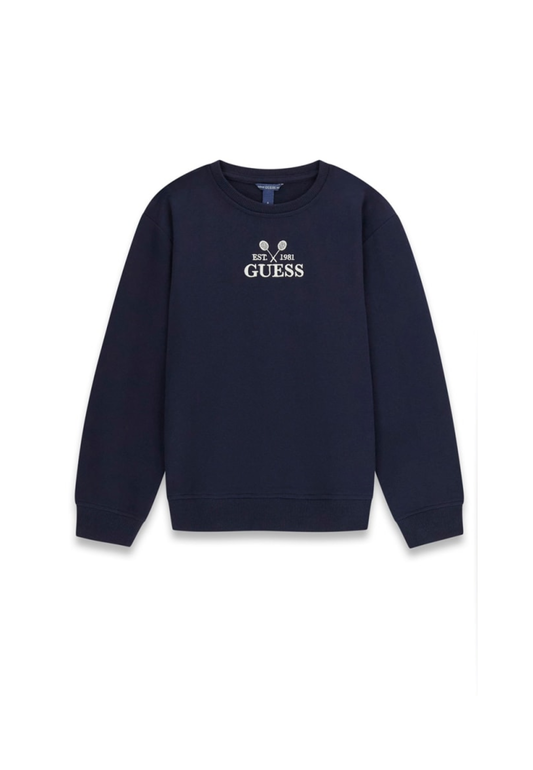 6a623ed885a17.png